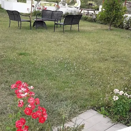 With See View * بورغاس